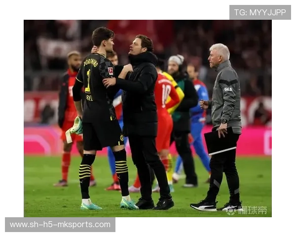 泰尔齐奇：比一年前更好，随时迎接挑战，泰戋尔资料