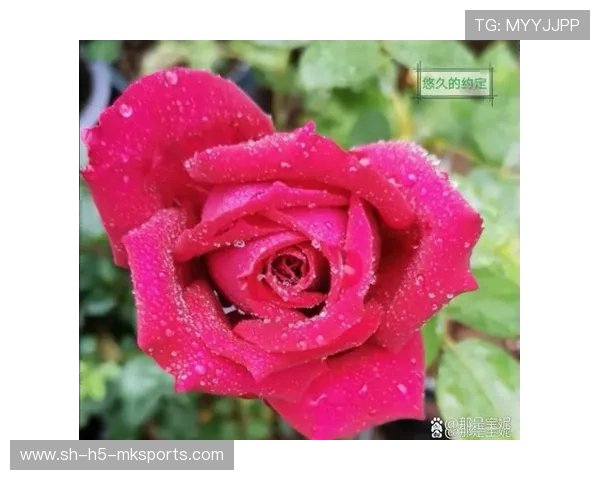 等待下雨停赛的中断时刻，形容等待雨停心情的诗句